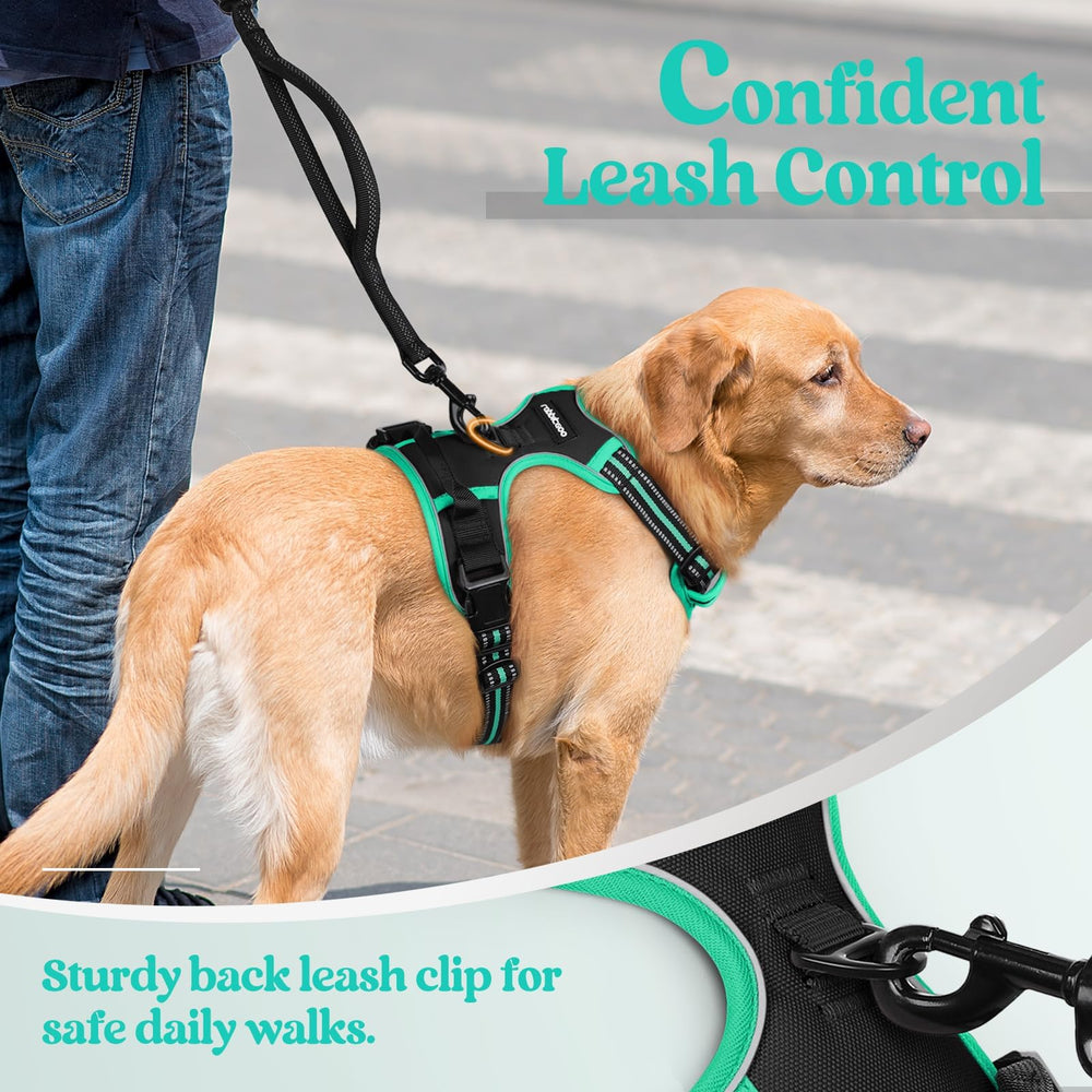 Rabbitgoo top-handle design offers precise control during walks