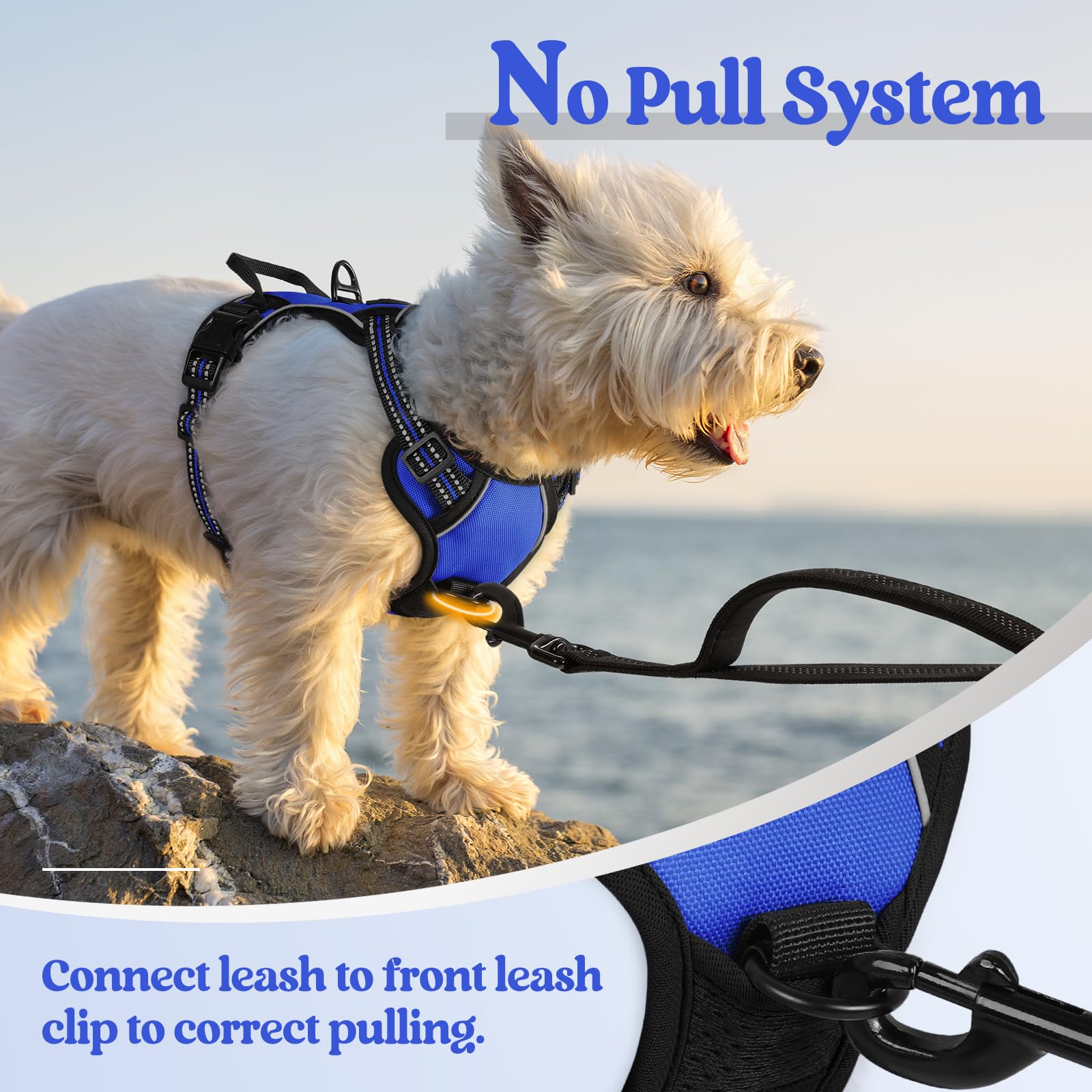 Top handle on the Rabbitgoo harness adds extra control in crowded areas.