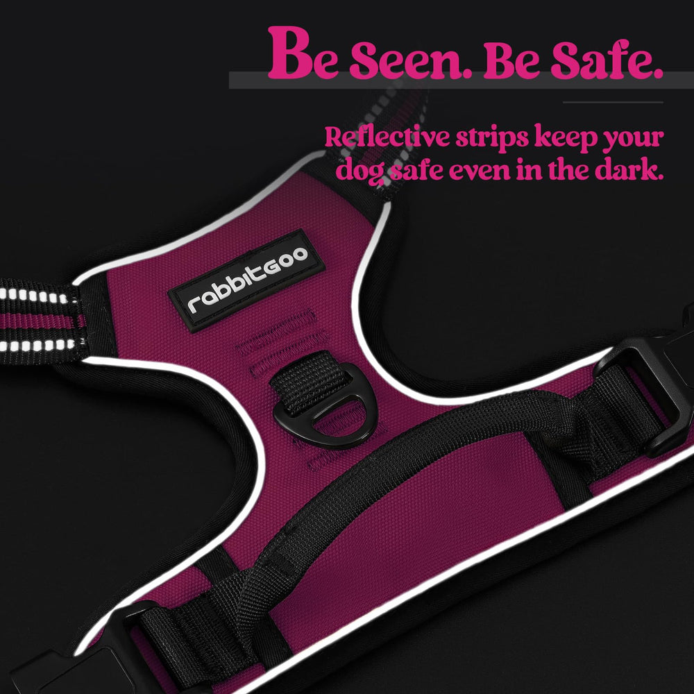Rabbitgoo top-handle offers extra control on trails.