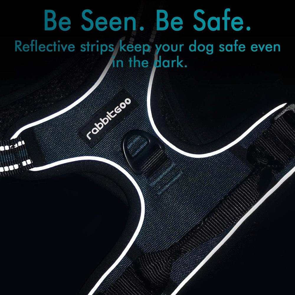 Top handle and back clip on Rabbitgoo harness for enhanced control