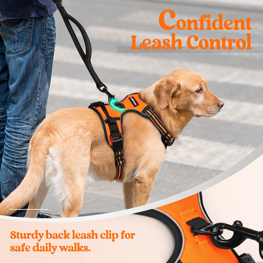 Rabbitgoo top-handle provides extra control during busy outings.