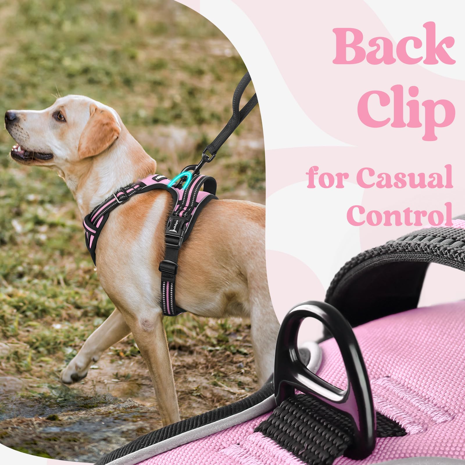 Rabbitgoo dual leash attachment points for versatile walking setups.