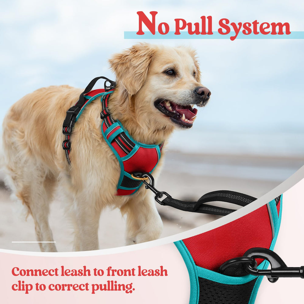 Rabbitgoo harness top handle with reflective strips aids quick control.