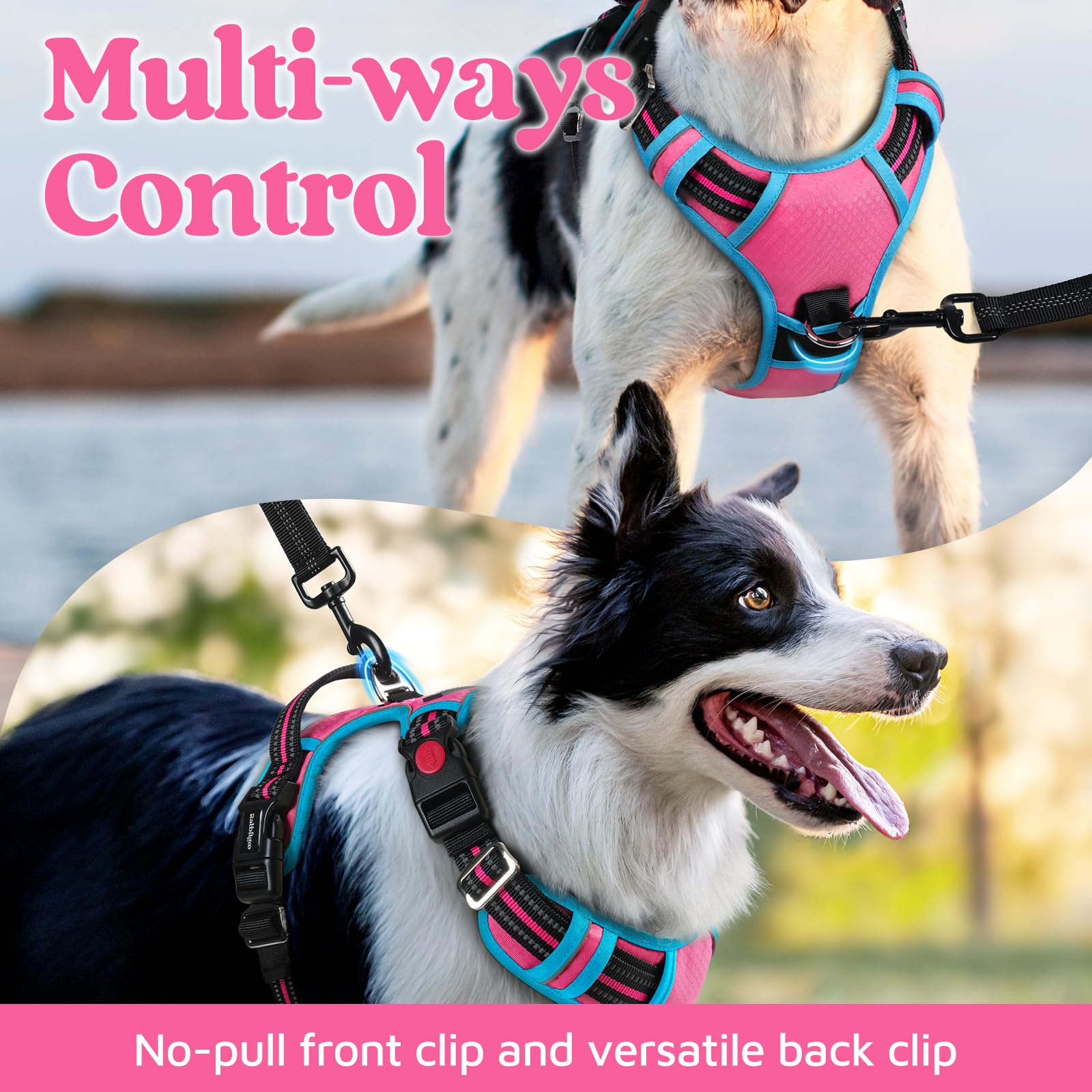 Rabbitgoo top-handle design for better control during walks.