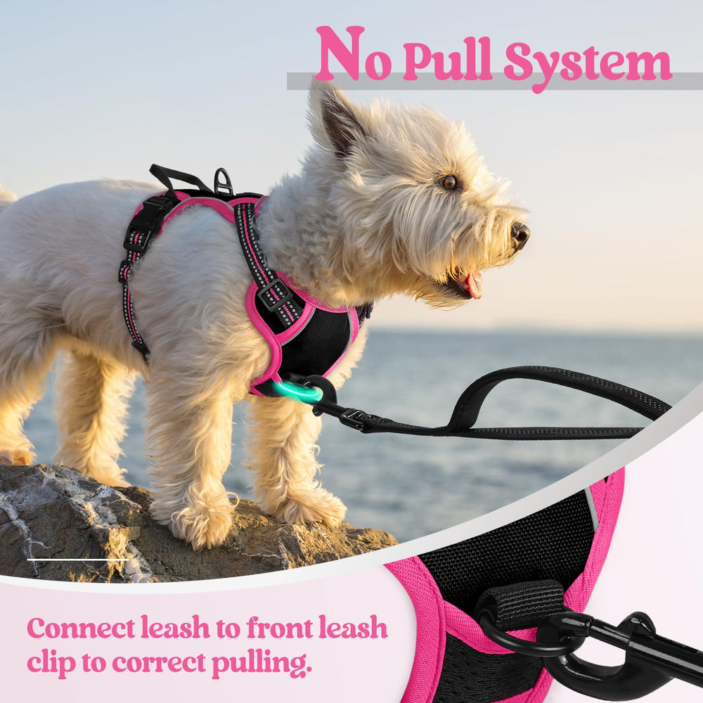 Top handle on Rabbitgoo harness offers quick control when needed