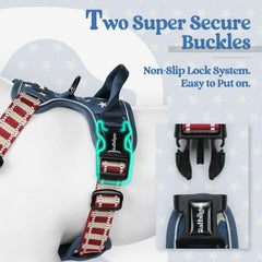 Rabbitgoo dog harness with two leash clips close-up emphasizes safer walks and versatility.