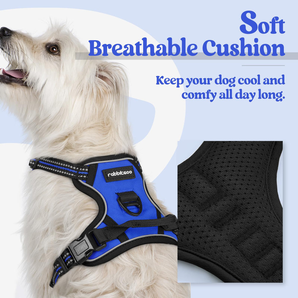 Rabbitgoo harness with two leash clips offers versatile control for training and walks.