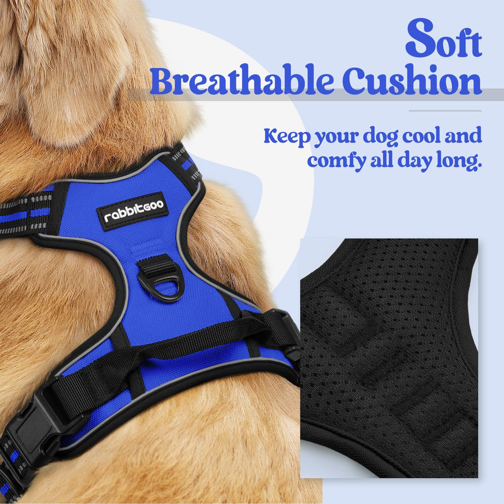 Rabbitgoo dog harness two-leash-clips offers front and rear attachment options for versatile control.