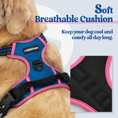 Rabbitgoo harness with two leash clips for flexible control