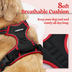Rabbitgoo dog harness with two leash clips for versatile control during training and walks.