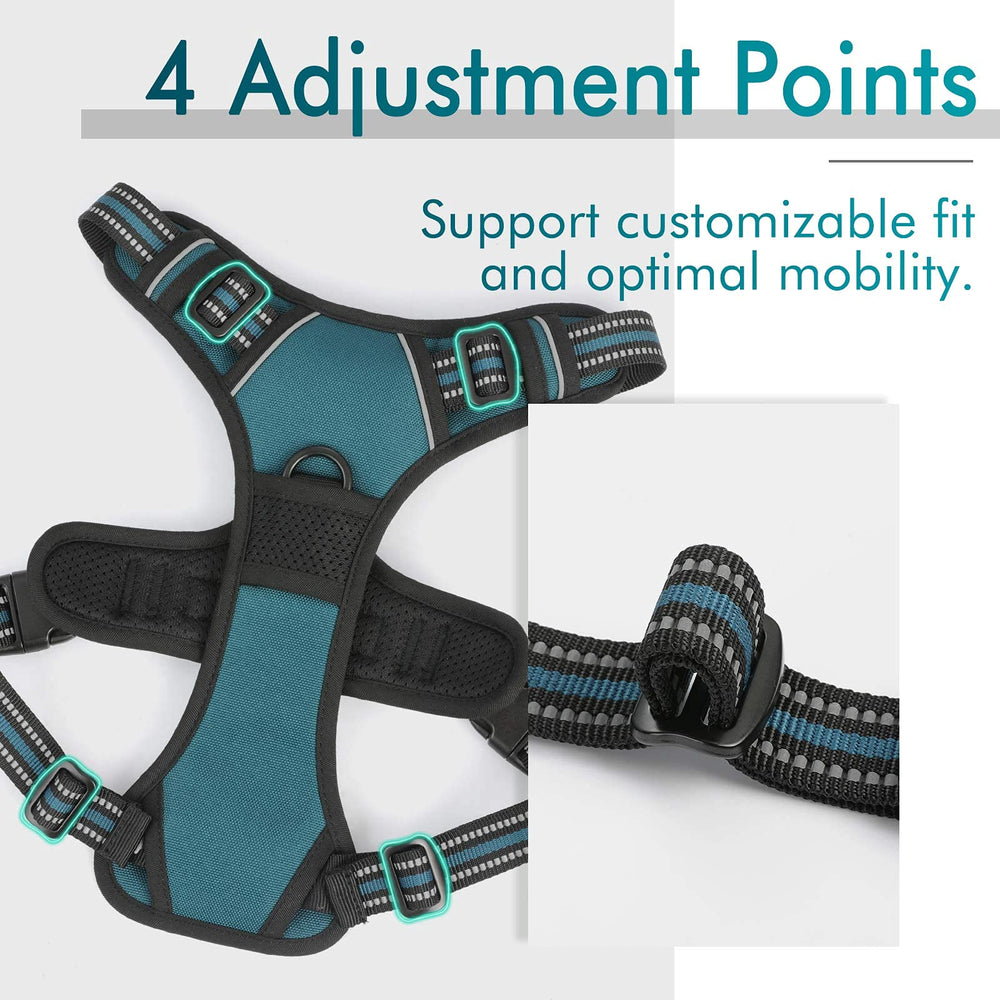 Rabbitgoo harness showing two leash clips for safer controlled walks