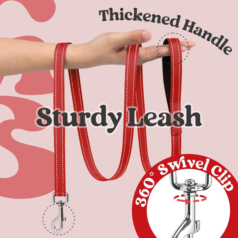 Rabbitgoo ultra-lightweight harness at about 0.2 lb for comfort.