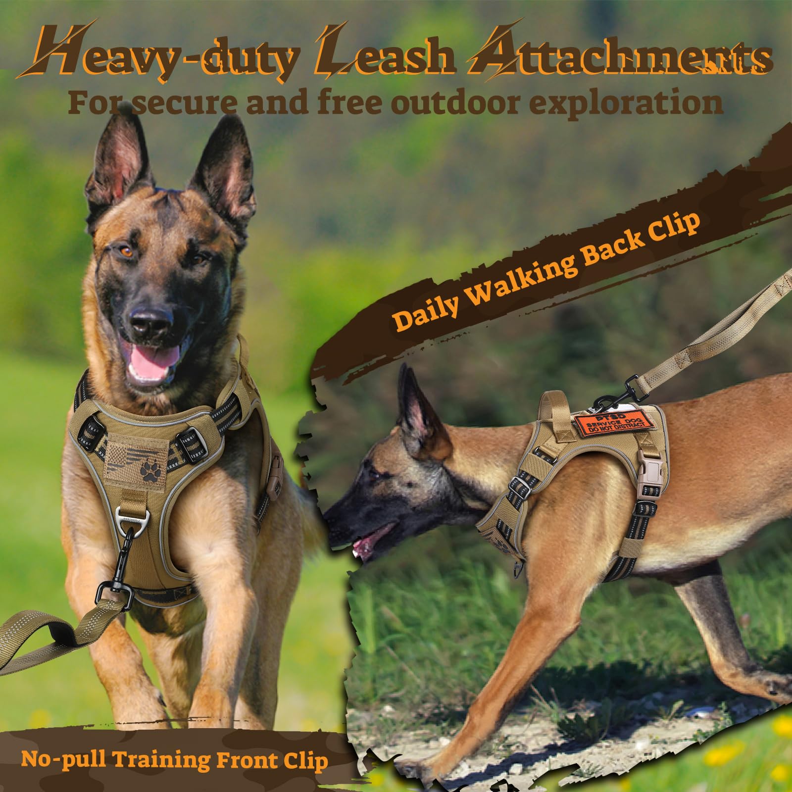 Rabbitgoo dog harness with handle for quick assistance during outdoor activities