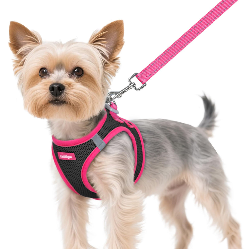 Rabbitgoo XS dog harness step-in design for easy daily wear.
