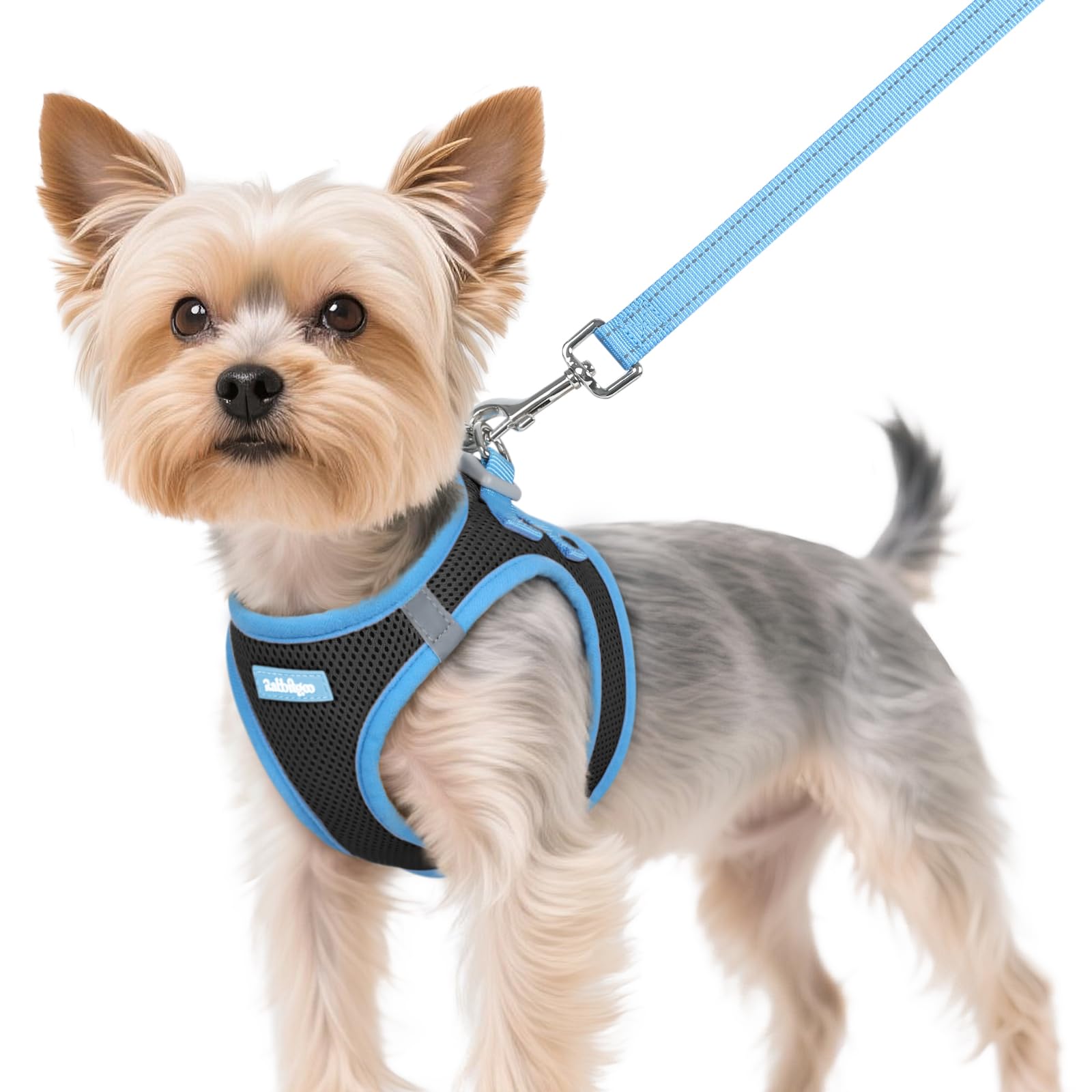 Rabbitgoo XS step-in harness ready for quick on-off comfort.