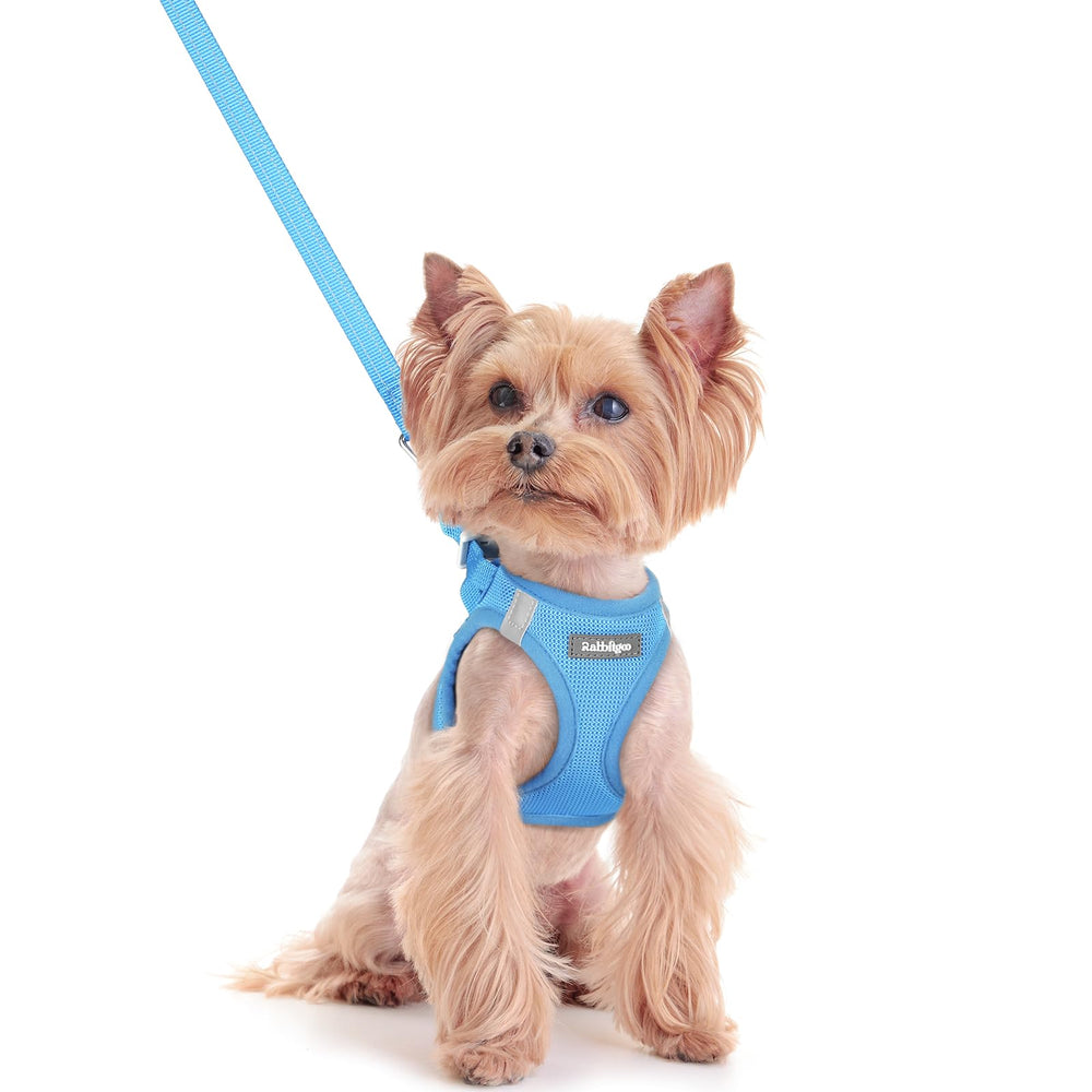 Rabbitgoo XXS blue step-in harness front view for easy wear