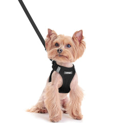 Rabbitgoo XXS step-in dog harness for quick, comfortable on/off.