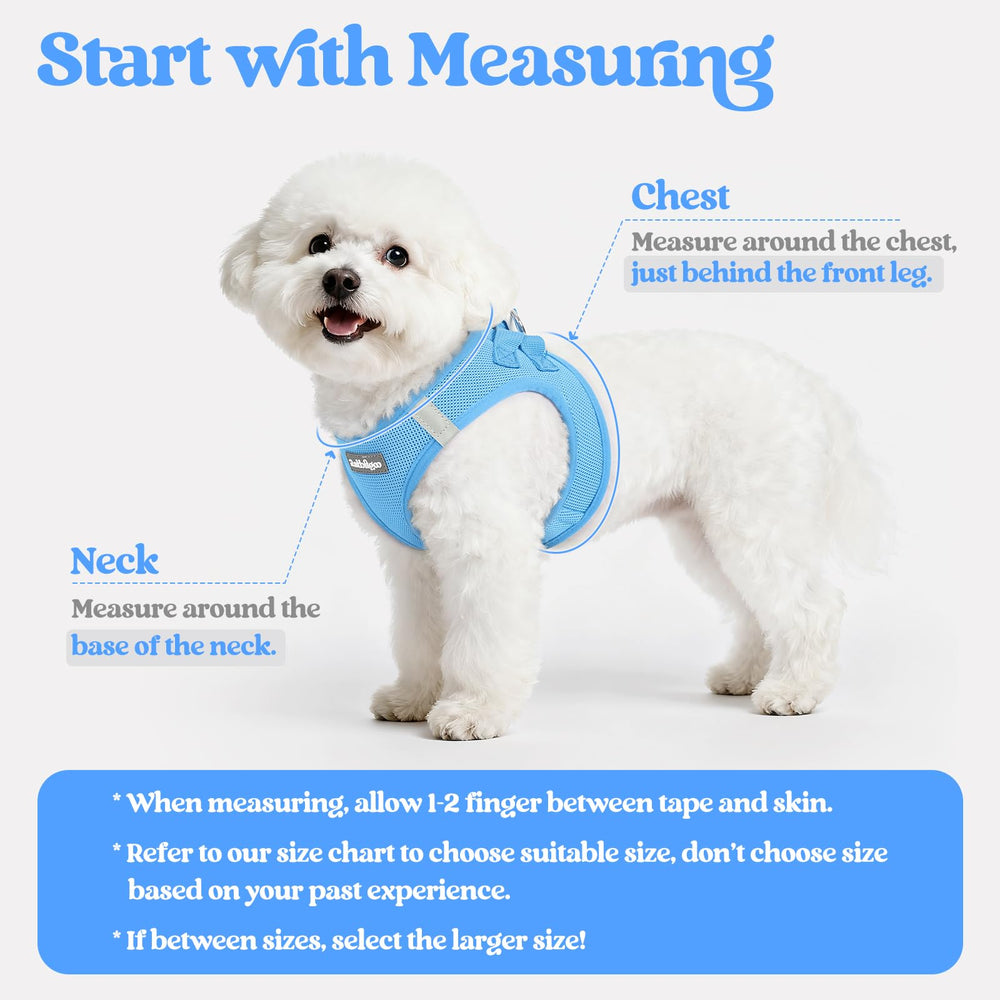 Rabbitgoo blue leash with reflective bands for safer evening walks.