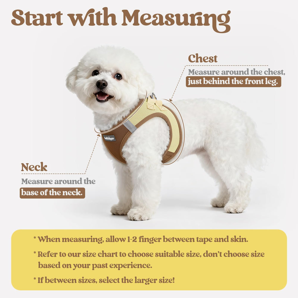 Rabbitgoo leash five-point-one-two-feet length for steady walks
