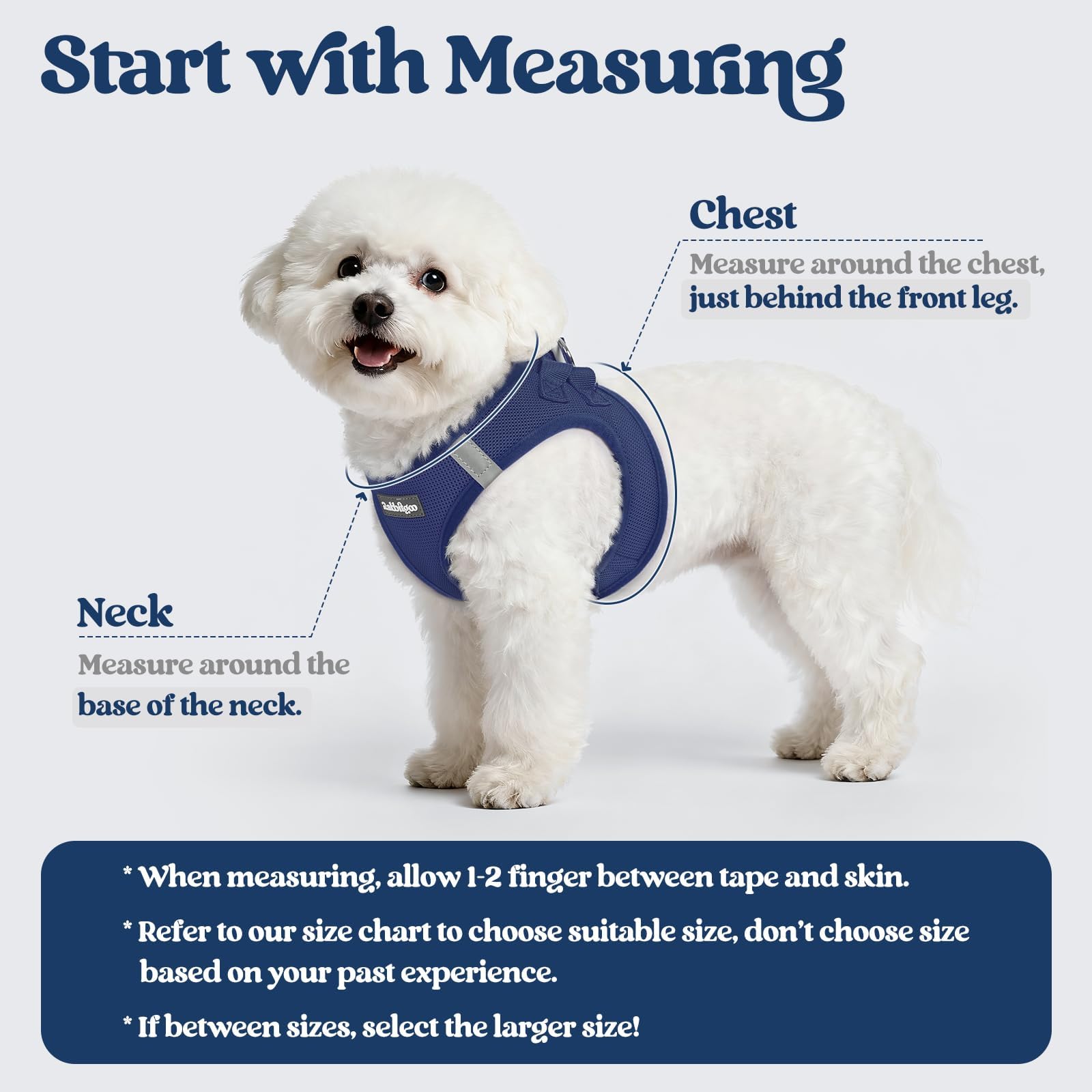 Rabbitgoo leash with reflective bands boosts visibility for safe evening walks.