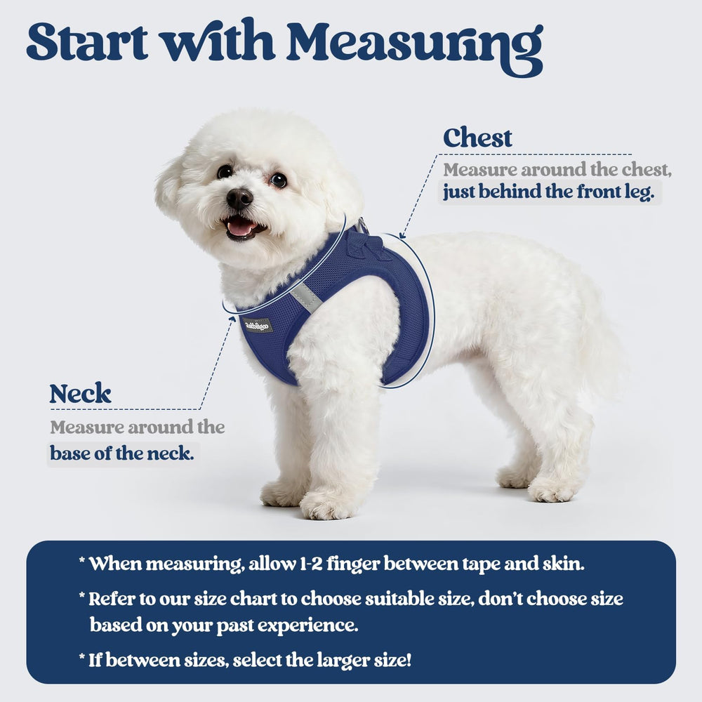 Rabbitgoo leash with reflective bands boosts visibility for safe evening walks.