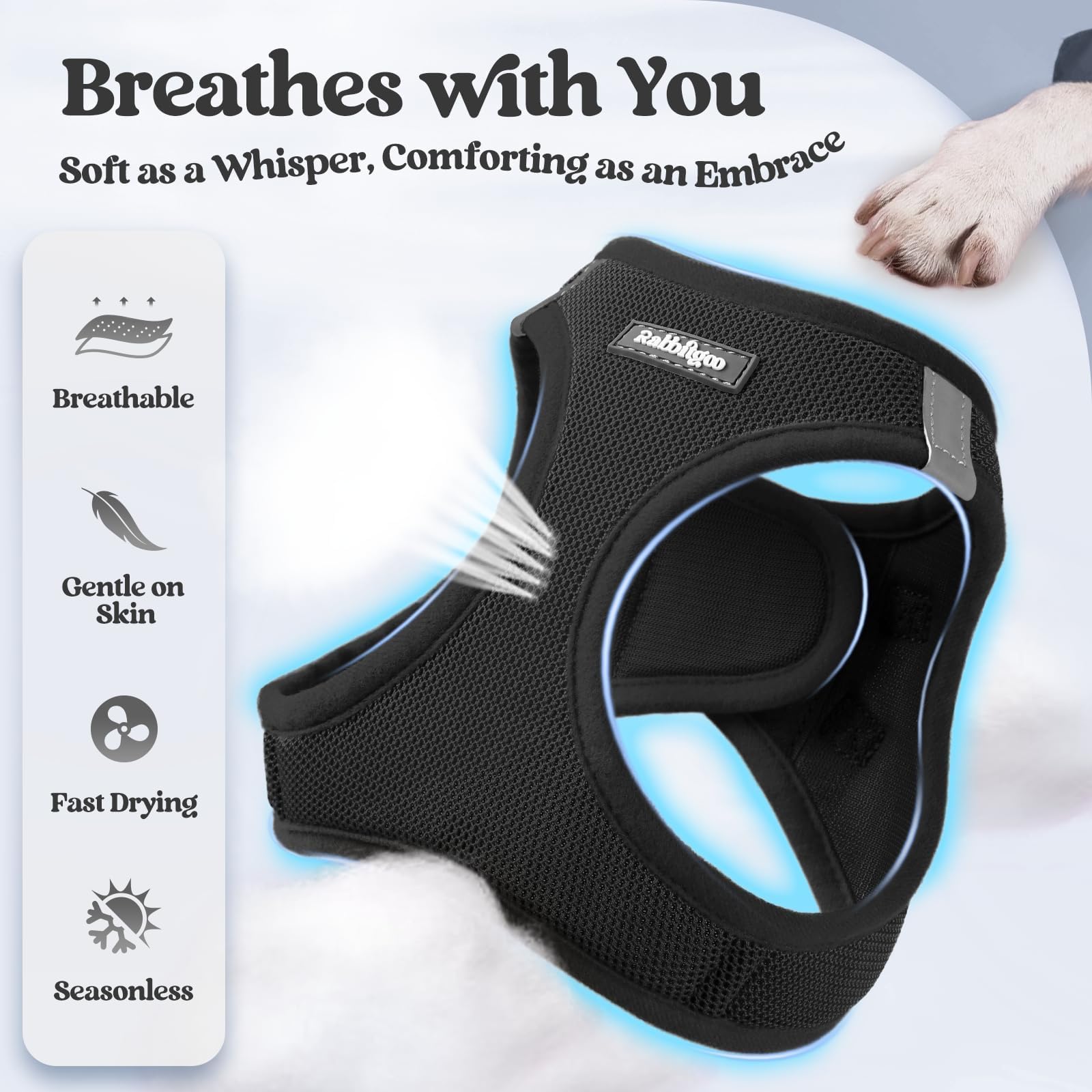 Rabbitgoo leash set with reflective bands for safe evening strolls.