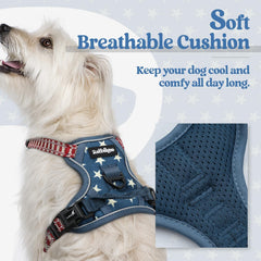 Rabbitgoo harness with two leash clips for flexible guidance
