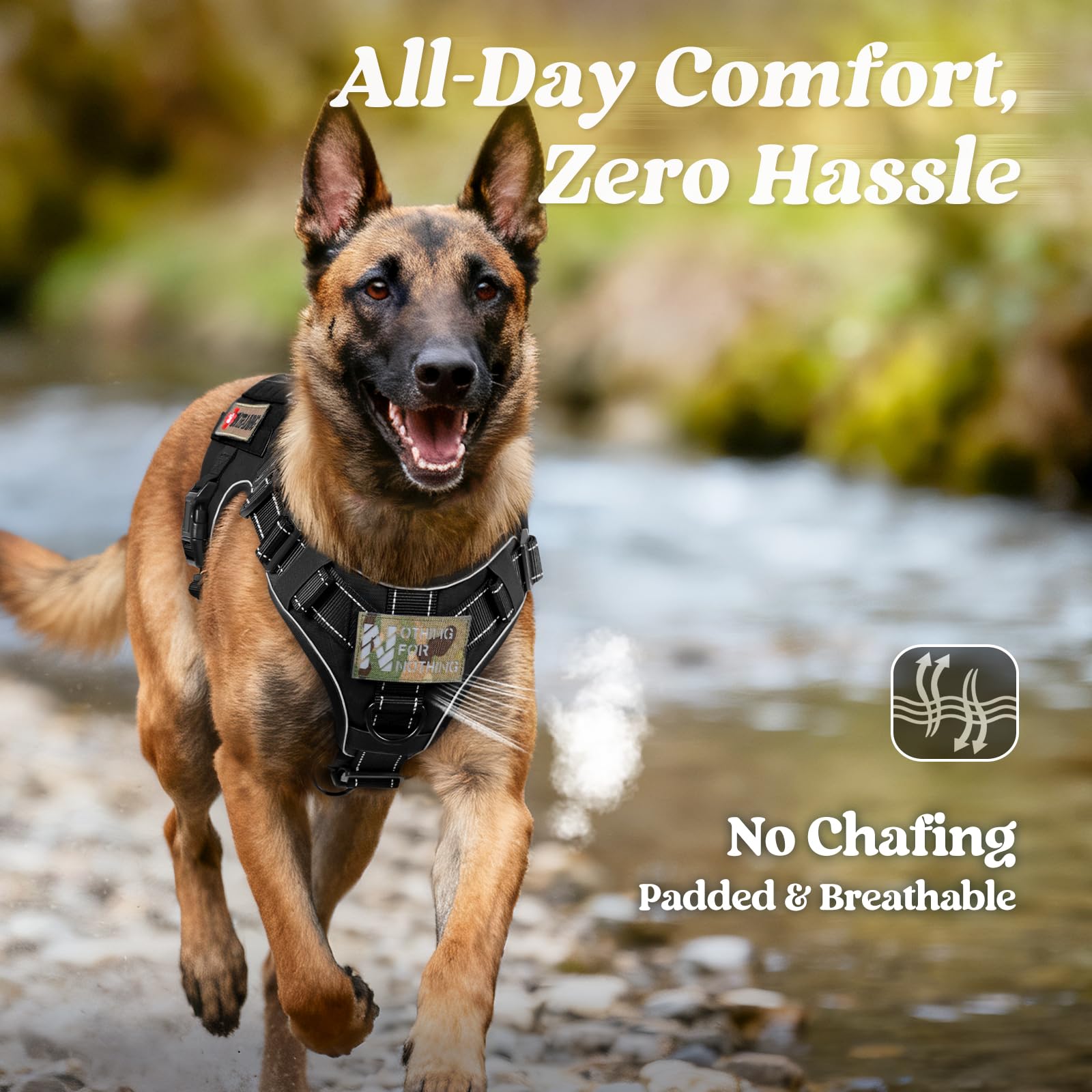 rabbitgoo dual aluminum neck buckles resist slipping and chew attempts