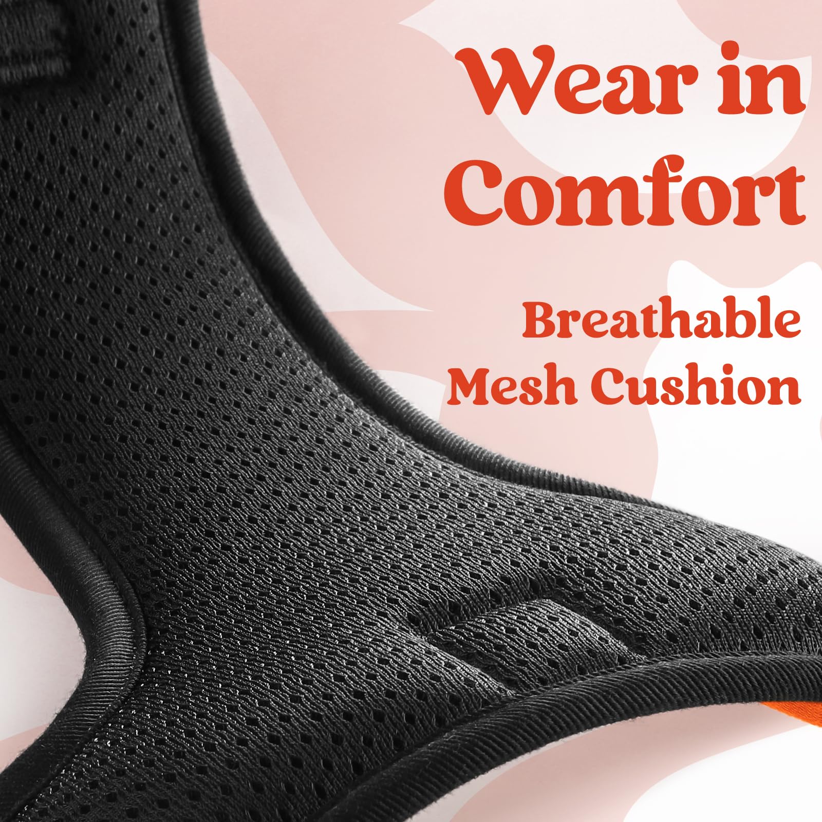Dual leash attachment points support training and daily walking.