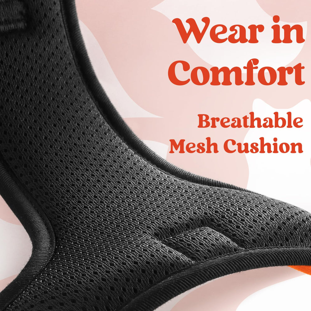 Dual leash attachment points support training and daily walking.