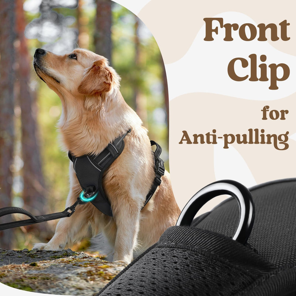 Rabbitgoo dual leash attachment points support versatile walks