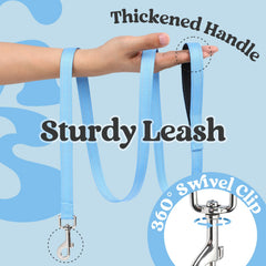 Rabbitgoo dual rear D-rings for reliable leash attachment.
