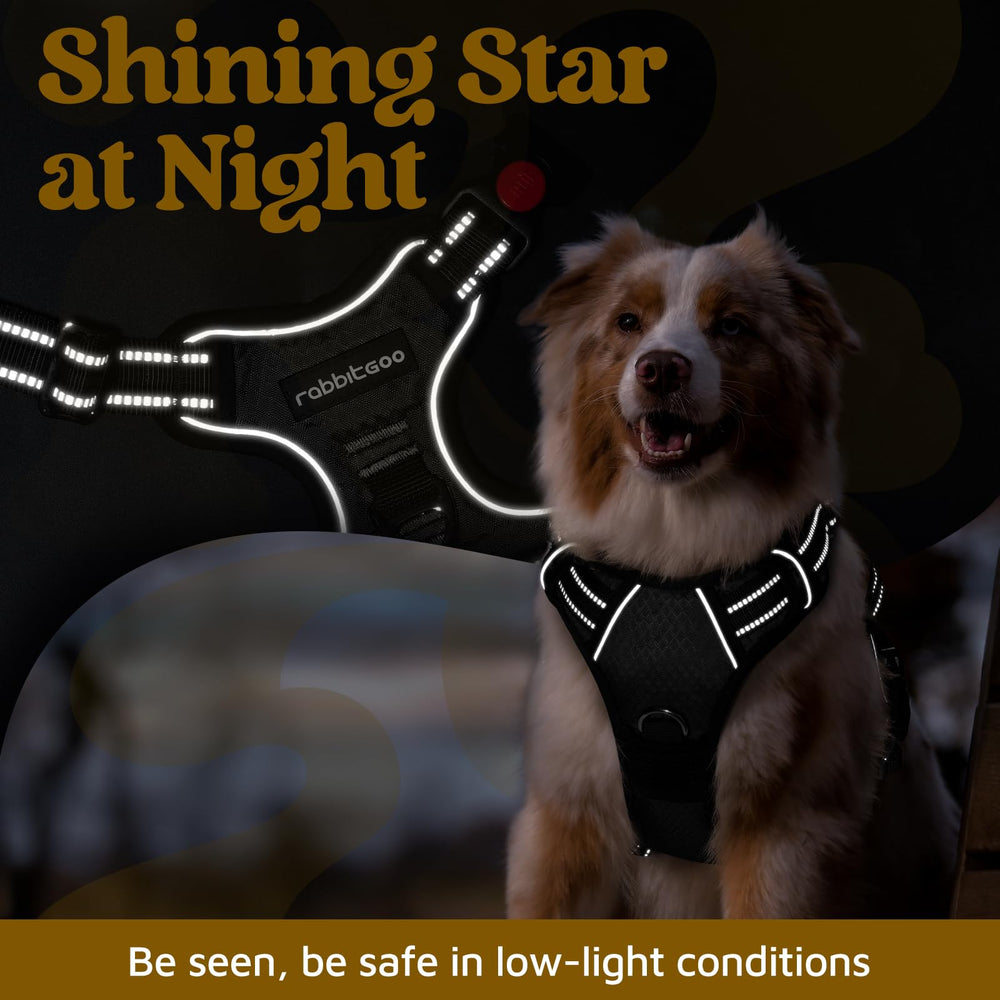 Rabbitgoo durable fabric for tear resistance and long-lasting use