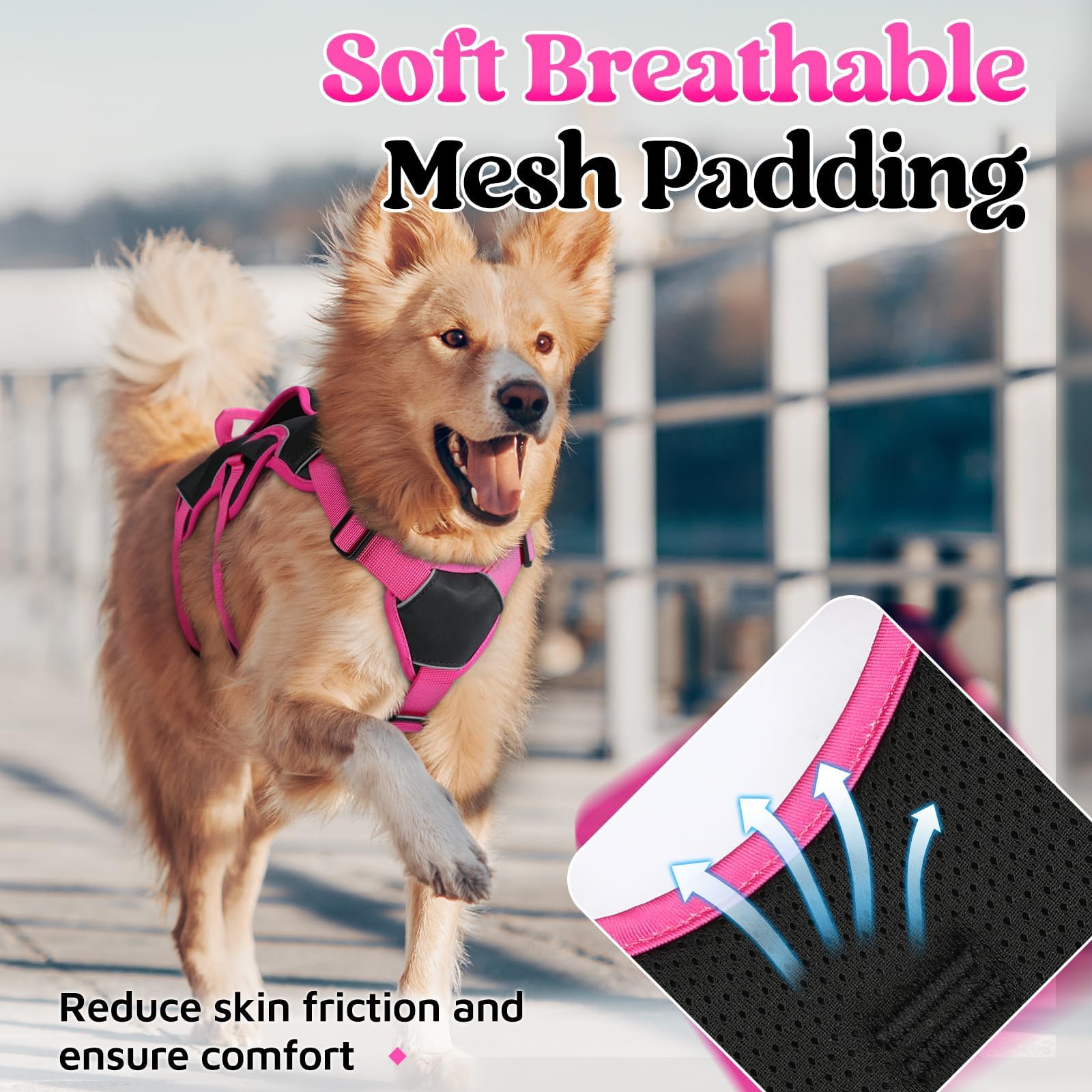 Rabbitgoo durable polyester webbing for daily use.