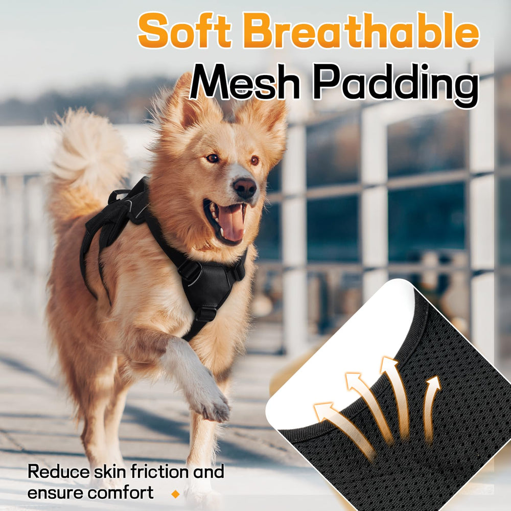 Rabbitgoo durable polyester webbing supports daily, rugged use.