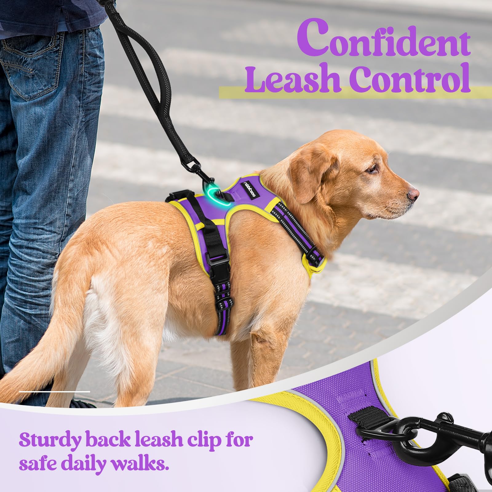 Rabbitgoo soft padding and breathable mesh keep dogs comfy on long walks.