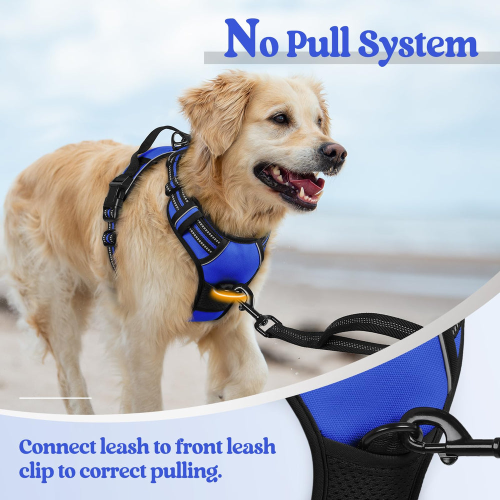 Rabbitgoo easy-control top handle provides extra grip for confident handling.