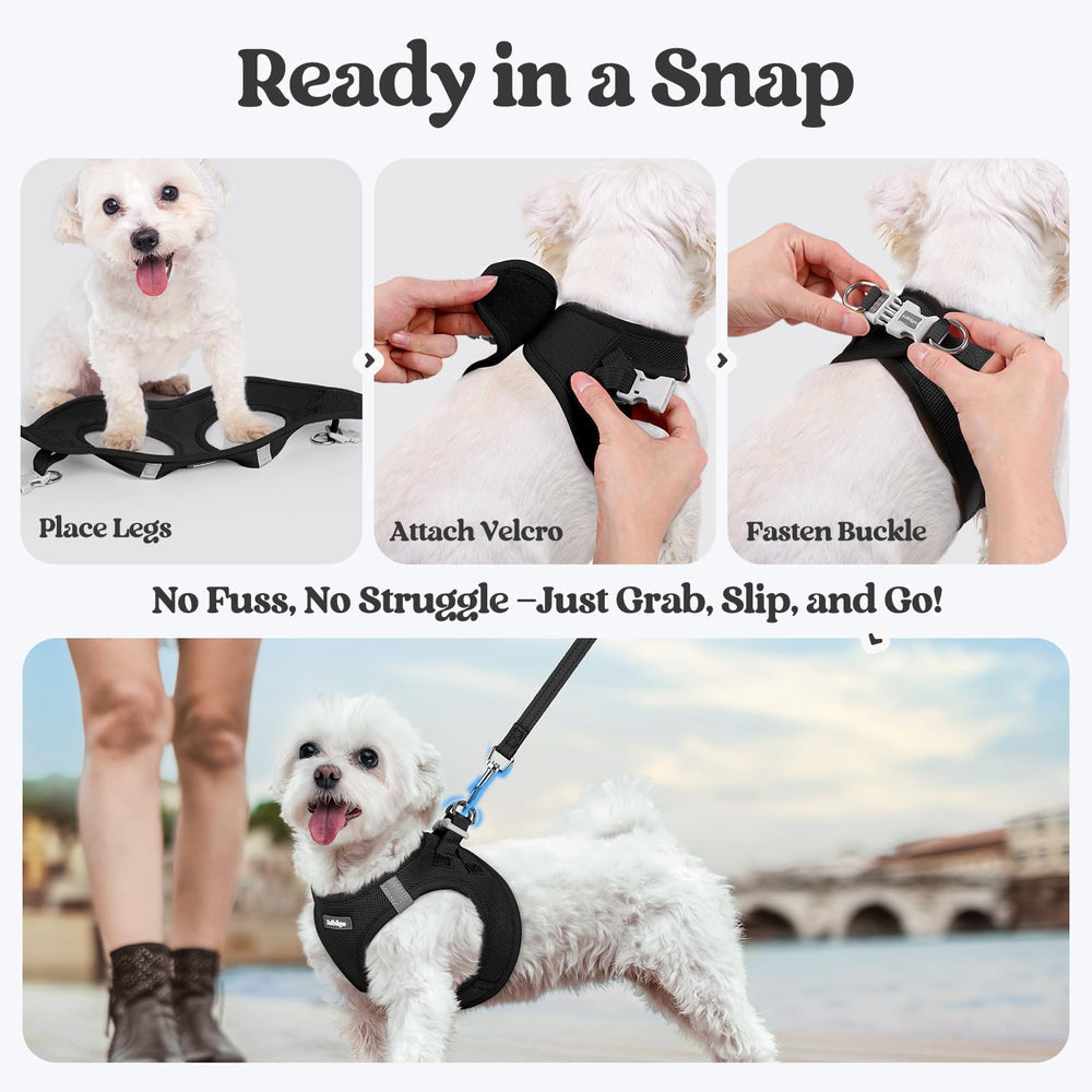 Rabbitgoo adjustable hook-and-loop tape for customizable fit.