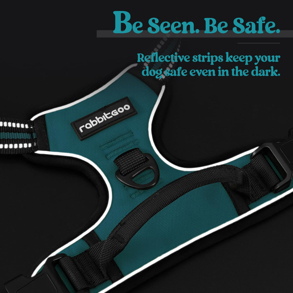 Rabbitgoo quick release buckles for easy on and off