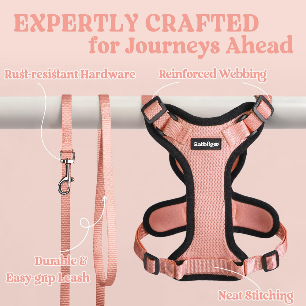 Rabbitgoo easy-on-off cat harness helps quick fitting for busy owners.