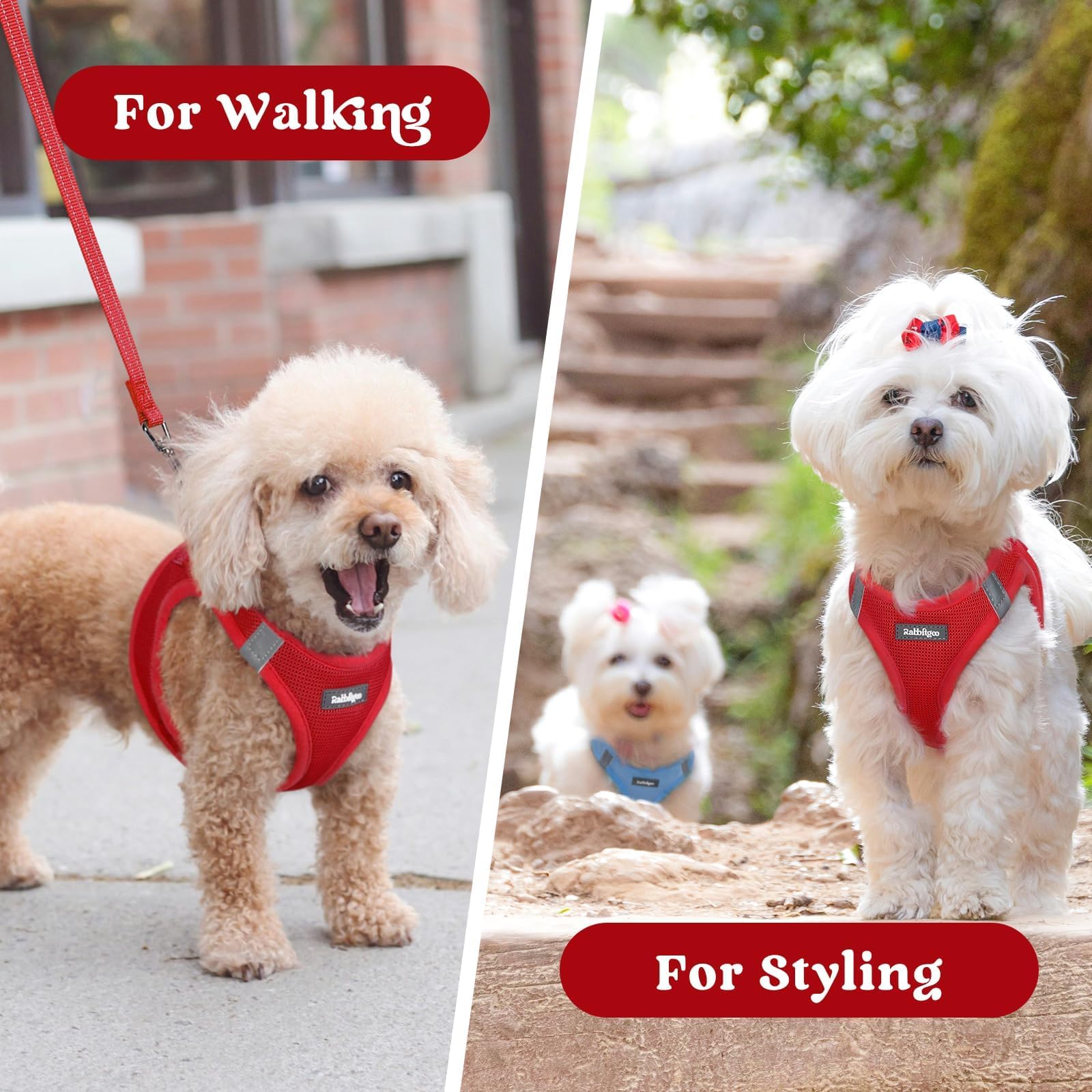 Rabbitgoo adjustable neck and chest fit guides comfortable wearing