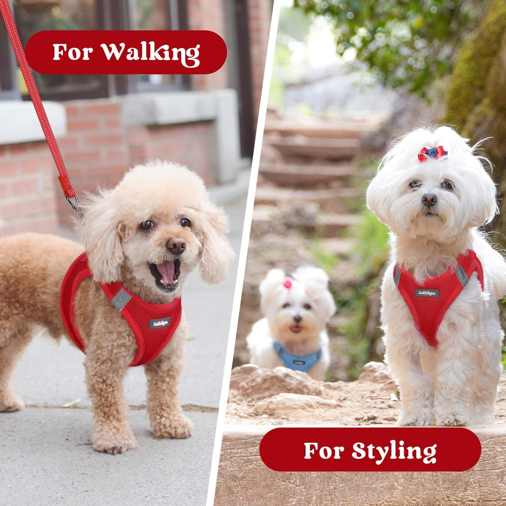 Rabbitgoo adjustable neck and chest fit guides comfortable wearing