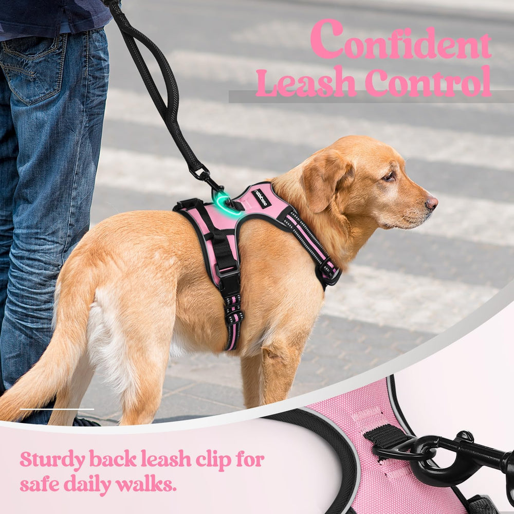 Rabbitgoo easy-on-off design speeds up daily dressing
