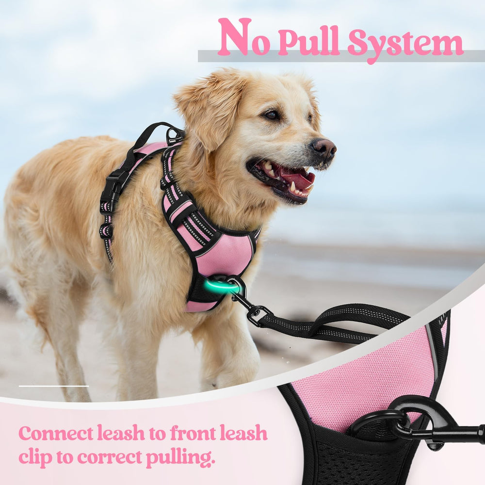 Rabbitgoo easy-on overhead design with quick-release buckles for fast fitting.
