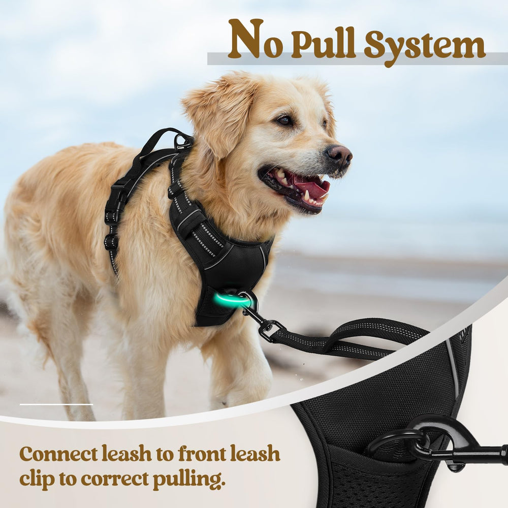 Rabbitgoo overhead harness with quick-release buckles