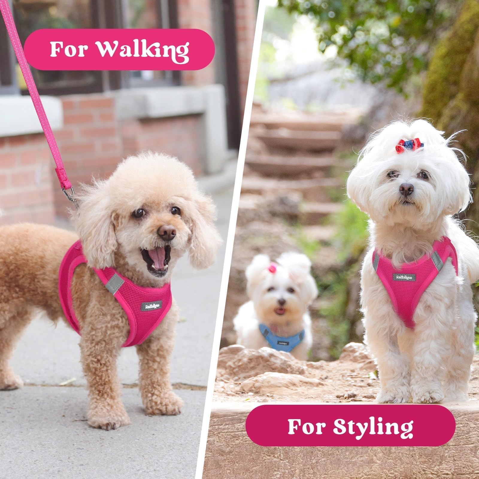 Rabbitgoo easy-wear harness designed for wiggly pups and busy owners