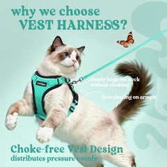 Rabbitgoo emerald harness back D-ring and leash clip for reliable control