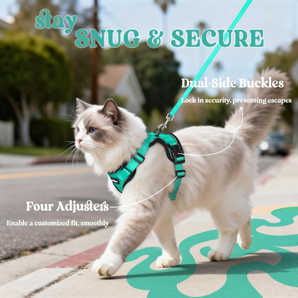 Rabbitgoo emerald harness demonstrates fully adjustable four-strap fit