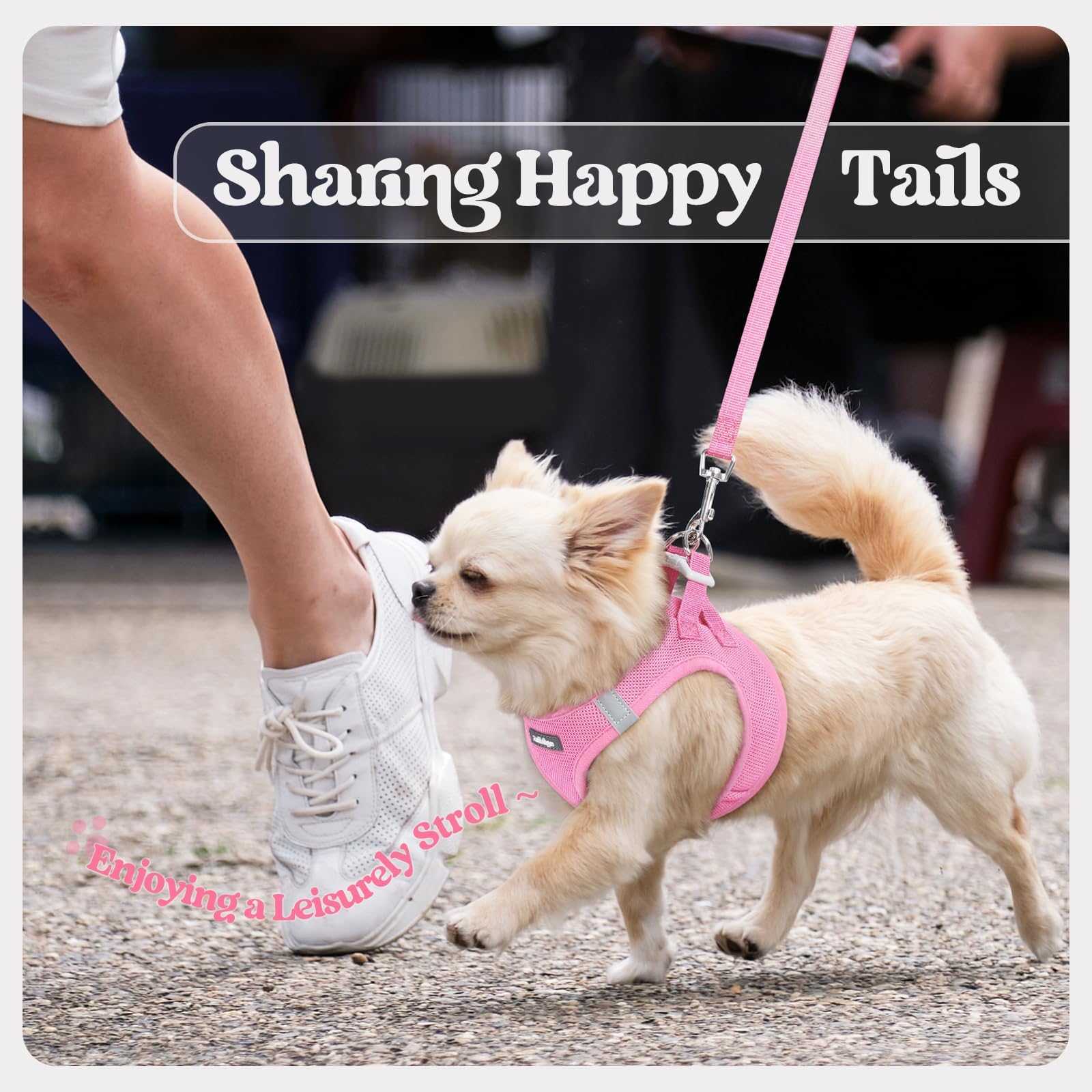 Rabbitgoo ergonomic adjustability distributes pulling for smoother walks.