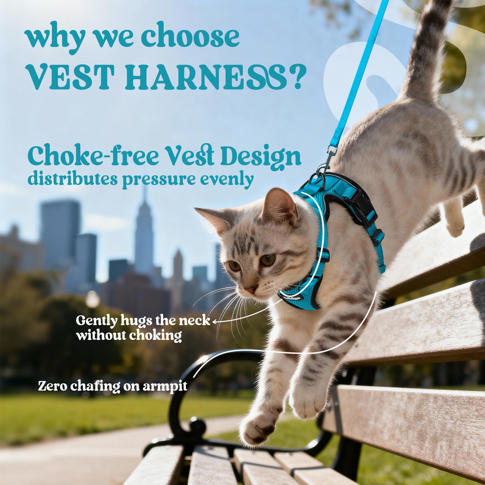 Rabbitgoo escape-proof cat harness prevents escapes during outdoor adventures.